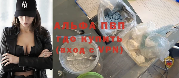 гашик Дмитровск