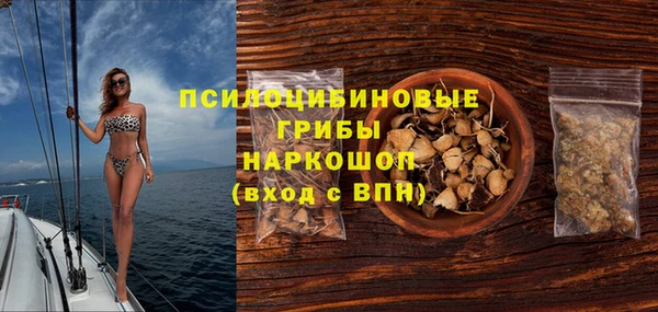 стафф Дмитров
