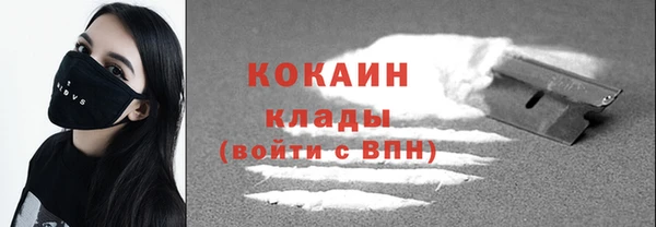 гашик Дмитровск