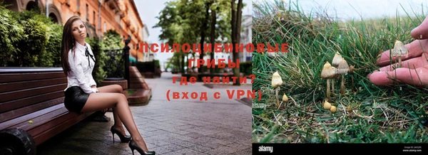 трава Дмитриев