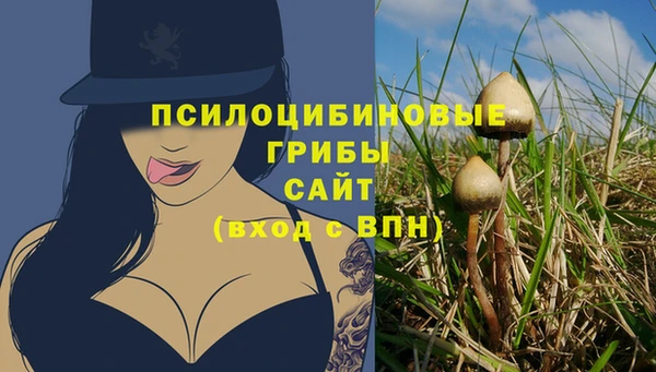 прущий лед Елизово