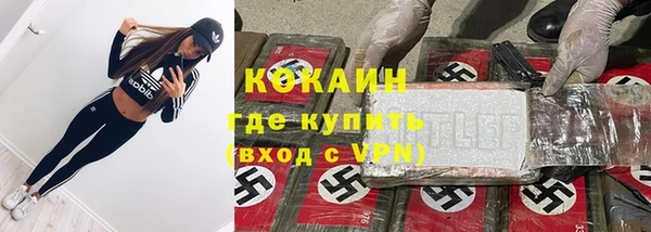 прущие крисы Ельня
