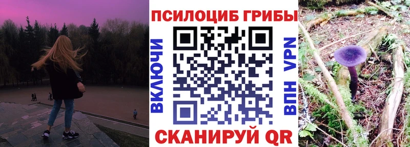 Купить  Нерюнгри  Галлюциногенные грибы MAGIC MUSHROOMS 
